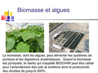 Biomasse et algues  La biomasse, dont les algues, peut alimenter les systèmes de pyrolyse et les digesteurs anaérobiques.  Quand la biomasse est pyrolysée, le résidu qui s'appelle BIOCHAR peut être utilisé pour l’amendement des sols et améliore ainsi la productivité des récoltes de jusqu'à 300%. 