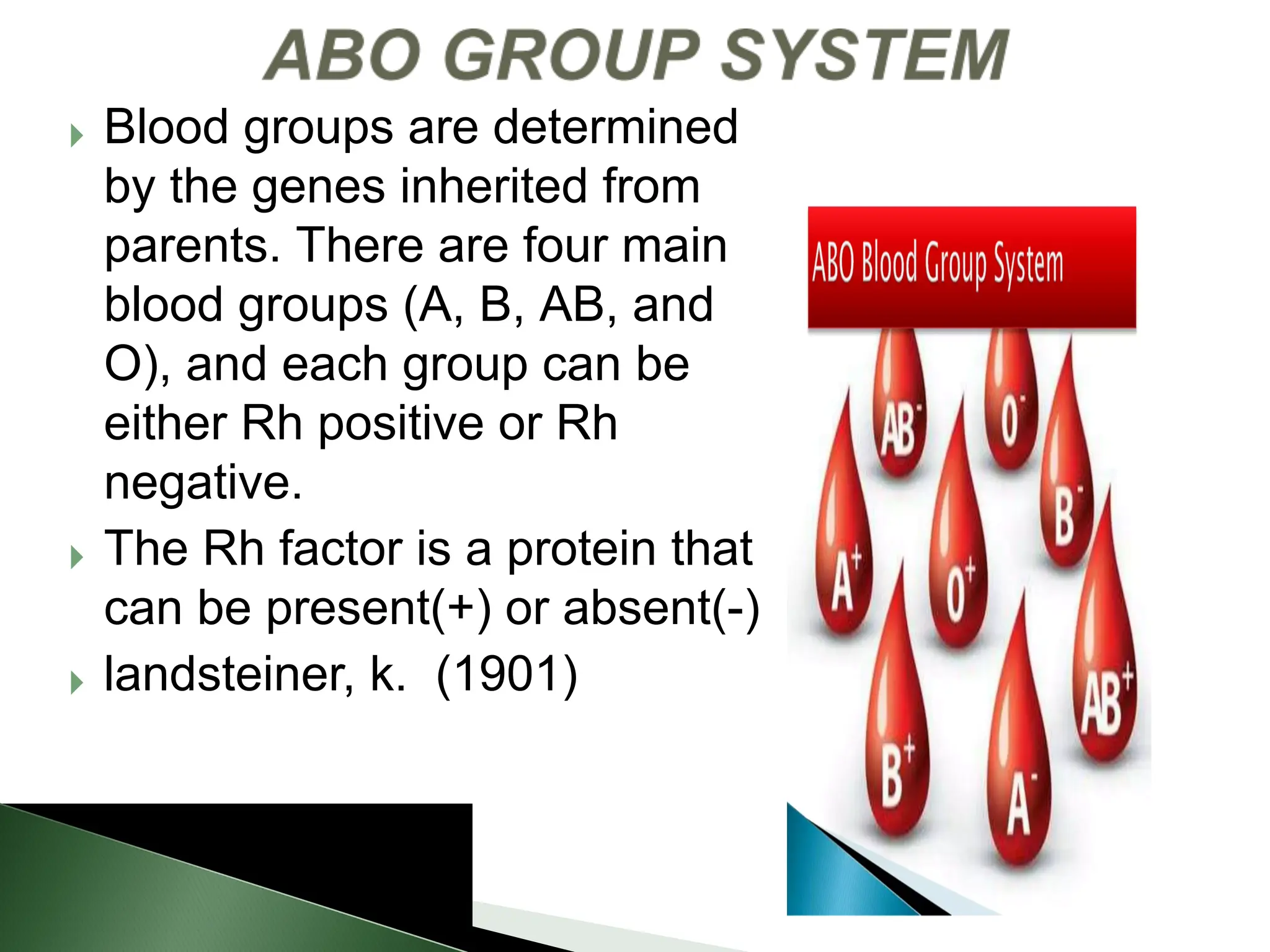 } Blood groups are determined
by the genes inherited from
parents. There are four main
blood groups (A, B, AB, and
O), and each group can be
either Rh positive or Rh
negative.
} The Rh factor is a protein that
can be present(+) or absent(-)
} landsteiner, k. (1901)
 