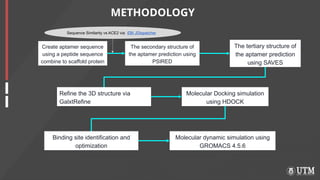 In Silico Design and Molecular Analysis of Peptide Aptamers Targeting ...