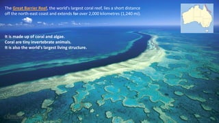 The Great Barrier Reef, the world's largest coral reef, lies a short distance
off the north-east coast and extends for over 2,000 kilometres (1,240 mi).
It is made up of coral and algae.
Coral are tiny invertebrate animals.
It is also the world's largest living structure.
 
