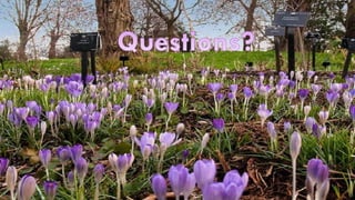 Presentation slides 5 - Scoring system, Rating and Accreditation.pdf