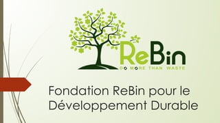 Fondation ReBin pour le
Développement Durable
 