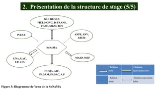 SoNaMA
UNA, UAC,
UP, LTA
DAL DEGAN,
FIELDKING, D-TRANS,
CASE, M&M, BCS
CUMA, AIC,
PADAM, PADAC, A.P
INRAB ANPE, SNV,
ARCH
MAEP, MEF
2. Présentation de la structure de stage (5/5)
Figure 3: Diagramme de Venn de la SoNaMA
: Relation
forte
: Relation
équivalente forte
: Relation
faible
: Relation équivalente
faible
 