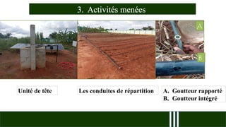 3. Activités menées
Unité de tête A. Goutteur rapporté
B. Goutteur intégré
A
B
Les conduites de répartition
 