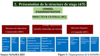 Service trésorerie et
recouvrement (CSTR)
Service
Comptabilité et
Suivi
Budgétaire
(CSCS)
Service
commercial
et
marketing
(CSCM)
Directeur des Opérations
Commerciales (DOC)
Directeur
des
Opérations
Agricoles
et
Industrielles,
(DOAI)
Directeur Financier
et Comptable (DFC)
Service
après -
vente
(CSAV)
Service
agri
Finance
(CSAF)
Service de la
production des
équipements agricoles
des moyens généraux
et de la comptabilité
matière (CSP)
Service de
l’ingénierie et du
renforcement des
capacité en
agriculture et hydro-
agriculture (CSI)
Service des systèmes
d’informations
(CSN)
DIRECTEUR GENERAL (DG)
CONSEIL
D’ADMINISTRATION
2. Présentation de la structure de stage (4/5)
Source: SoNaMA 2025 Figure 2 : Organigramme de la SoNaMA
Service
trésorerie et
recouvrement
(CSTR)
Service des
ressources
humaines
(CSRH)
 