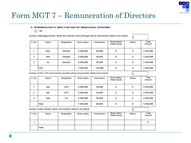 remuneration format