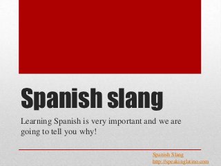 Spanish slang
Learning Spanish is very important and we are
going to tell you why!

                                    Spanish Slang
                                    http://speakinglatino.com
 