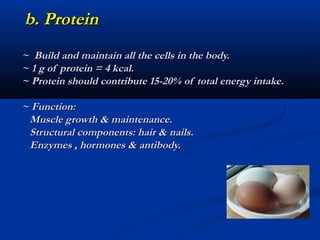 b. Protein
~ Build and maintain all the cells in the body.
~ 1 g of protein = 4 kcal.
~ Protein should contribute 15-20% of total energy intake.

~ Function:
 Muscle growth & maintenance.
 Structural components: hair & nails.
 Enzymes , hormones & antibody.
 