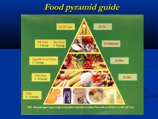 Food pyramid guide
 