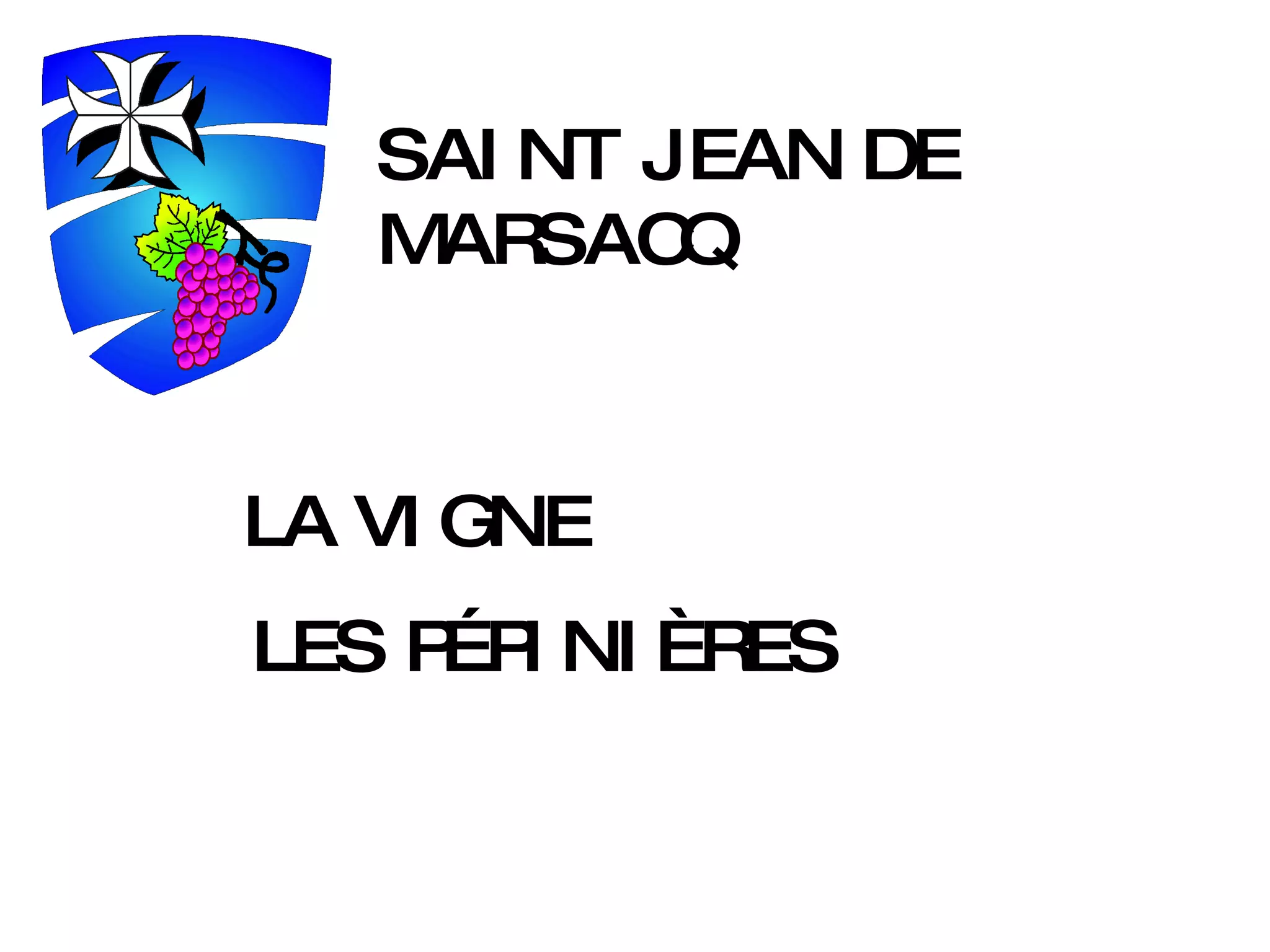 SAINT JEAN DE MARSACQ LA VIGNE LES PÉPINIÈRES 