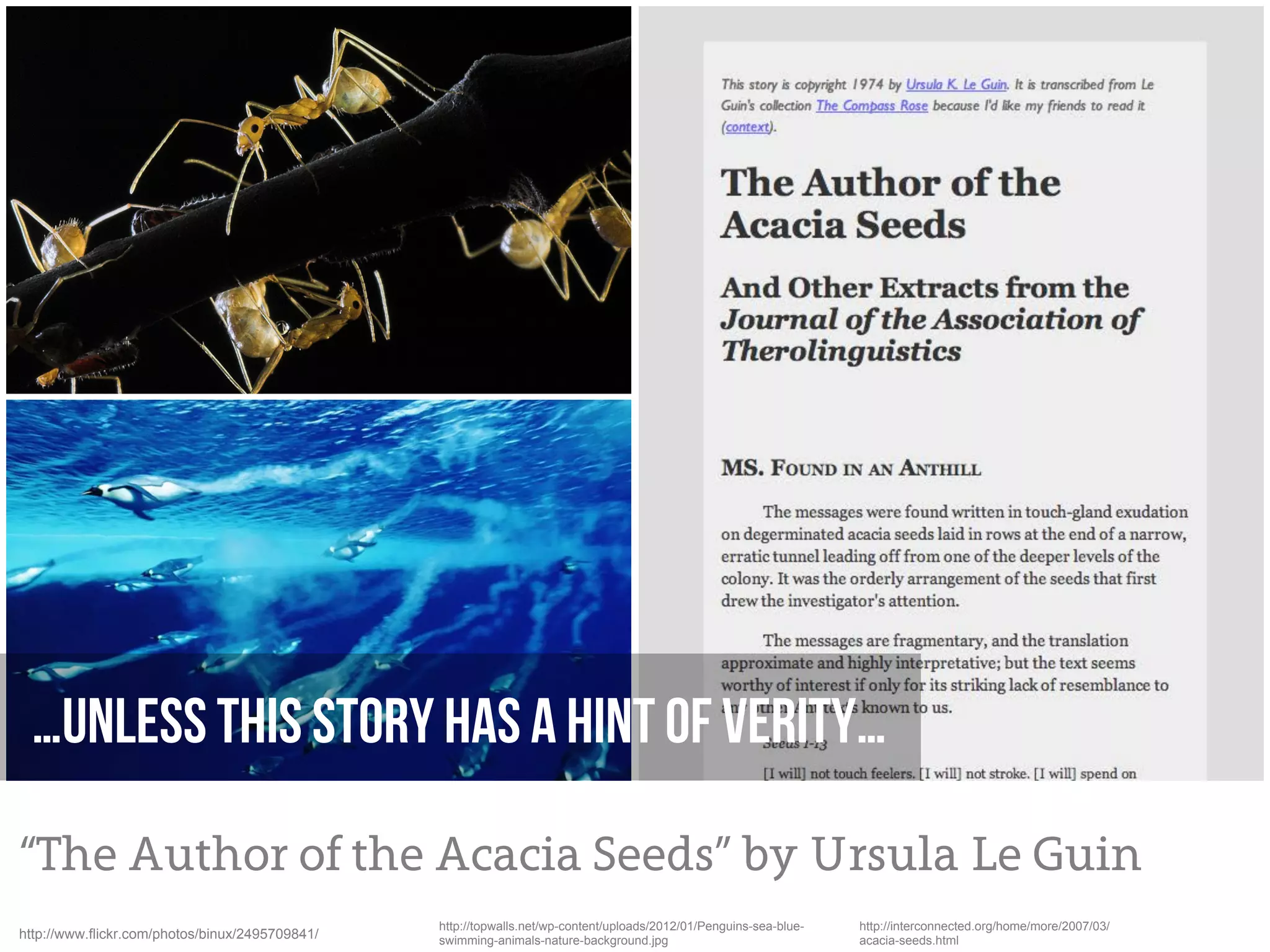 …unless this story has a hint of verity…

“The Author of the Acacia Seeds” by Ursula Le Guin
                                                 http://topwalls.net/wp-content/uploads/2012/01/Penguins-sea-blue-   http://interconnected.org/home/more/2007/03/
http://www.flickr.com/photos/binux/2495709841/   swimming-animals-nature-background.jpg                              acacia-seeds.html
 
