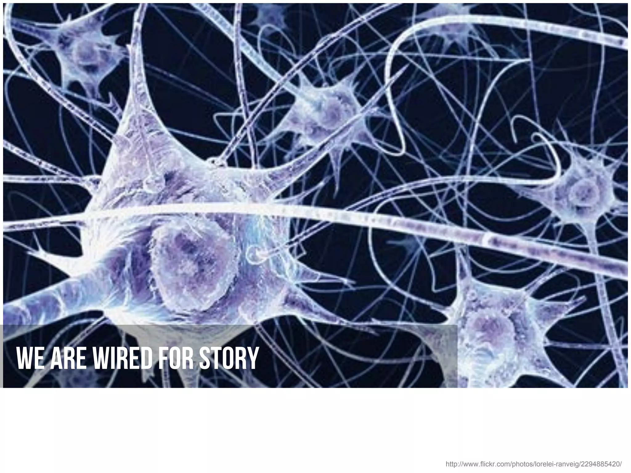 We are wired for story


                         http://www.flickr.com/photos/lorelei-ranveig/2294885420/
 
