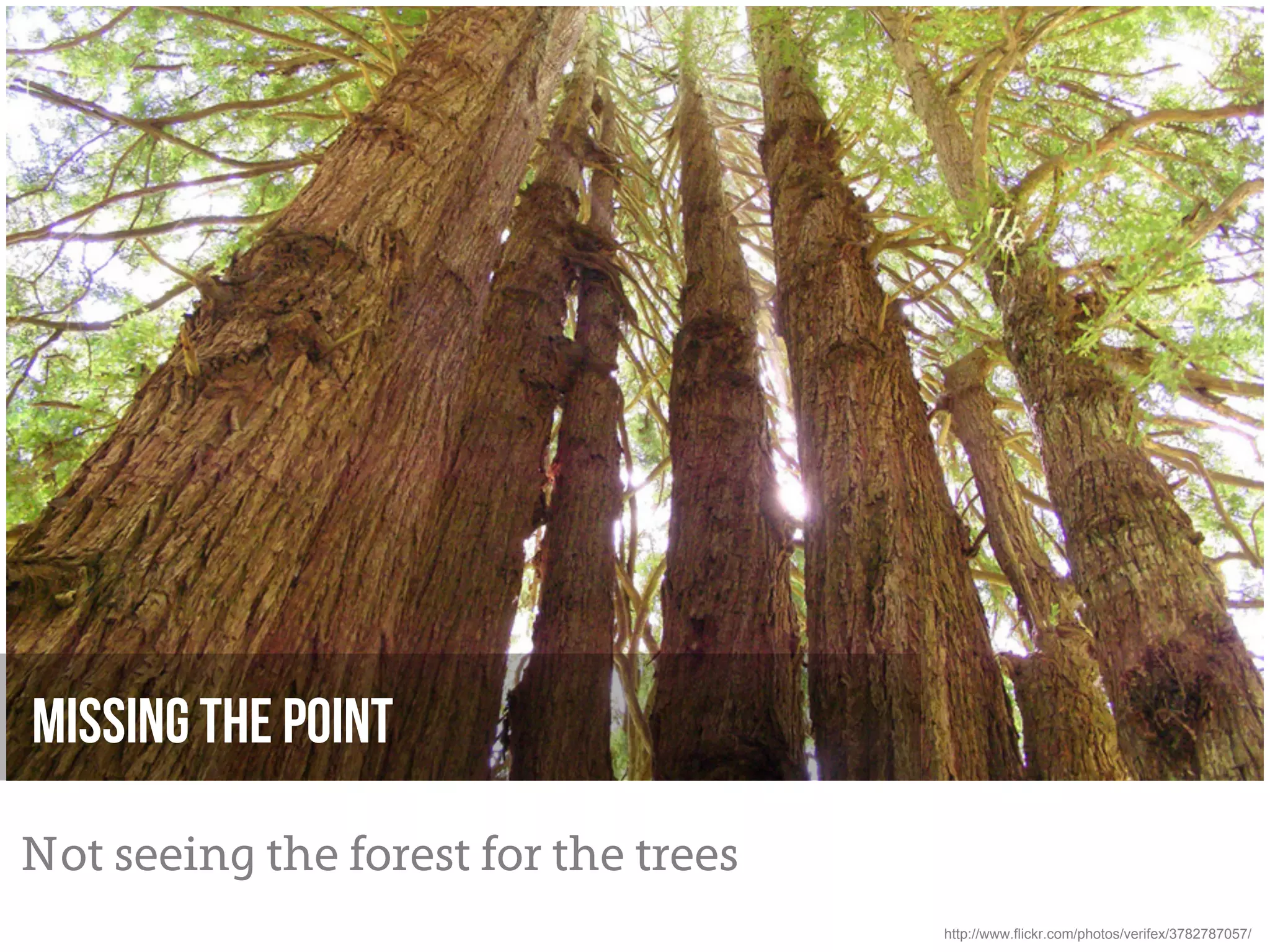 Missing the Point

Not seeing the forest for the trees
                                      http://www.flickr.com/photos/verifex/3782787057/
 