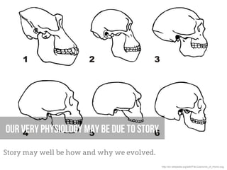 Our very physiology may be due to story
Story may well be how and why we evolved.
                                            http://en.wikipedia.org/wiki/File:Craniums_of_Homo.svg
 