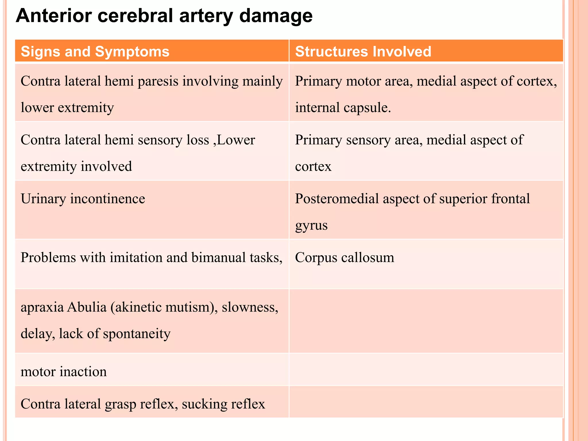 Anterior cerebral artery damage
Signs and Symptoms Structures Involved
Contra lateral hemi paresis involving mainly
lower extremity
Primary motor area, medial aspect of cortex,
internal capsule.
Contra lateral hemi sensory loss ,Lower
extremity involved
Primary sensory area, medial aspect of
cortex
Urinary incontinence Posteromedial aspect of superior frontal
gyrus
Problems with imitation and bimanual tasks, Corpus callosum
apraxia Abulia (akinetic mutism), slowness,
delay, lack of spontaneity
motor inaction
Contra lateral grasp reflex, sucking reflex
 