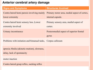 Anterior cerebral artery damage
Signs and Symptoms Structures Involved
Contra lateral hemi paresis involving mainly
lower extremity
Primary motor area, medial aspect of cortex,
internal capsule.
Contra lateral hemi sensory loss ,Lower
extremity involved
Primary sensory area, medial aspect of
cortex
Urinary incontinence Posteromedial aspect of superior frontal
gyrus
Problems with imitation and bimanual tasks, Corpus callosum
apraxia Abulia (akinetic mutism), slowness,
delay, lack of spontaneity
motor inaction
Contra lateral grasp reflex, sucking reflex
 