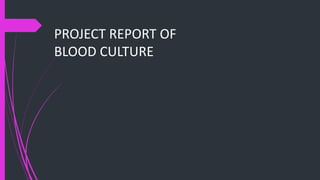 PROJECT REPORT OF
BLOOD CULTURE
 