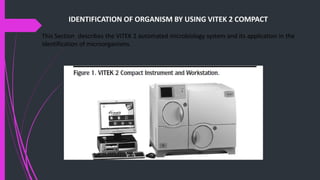 Presentation on blood culture | PPTX
