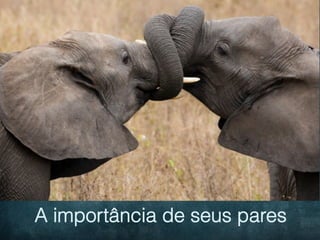 A importância de seus pares
 