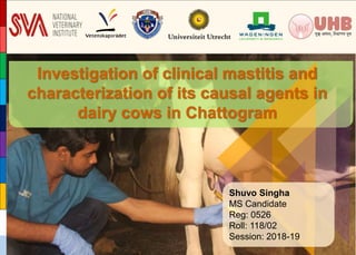 www.uhb.org.bd
Investigation of clinical mastitis and
characterization of its causal agents in
dairy cows in Chattogram
Shuvo Singha
MS Candidate
Reg: 0526
Roll: 118/02
Session: 2018-19
 