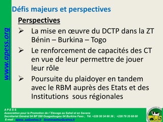 Défis majeurs et perspectives
Perspectives
 La mise en œuvre du DCTP dans la ZT
Bénin – Burkina – Togo
 Le renforcement ...