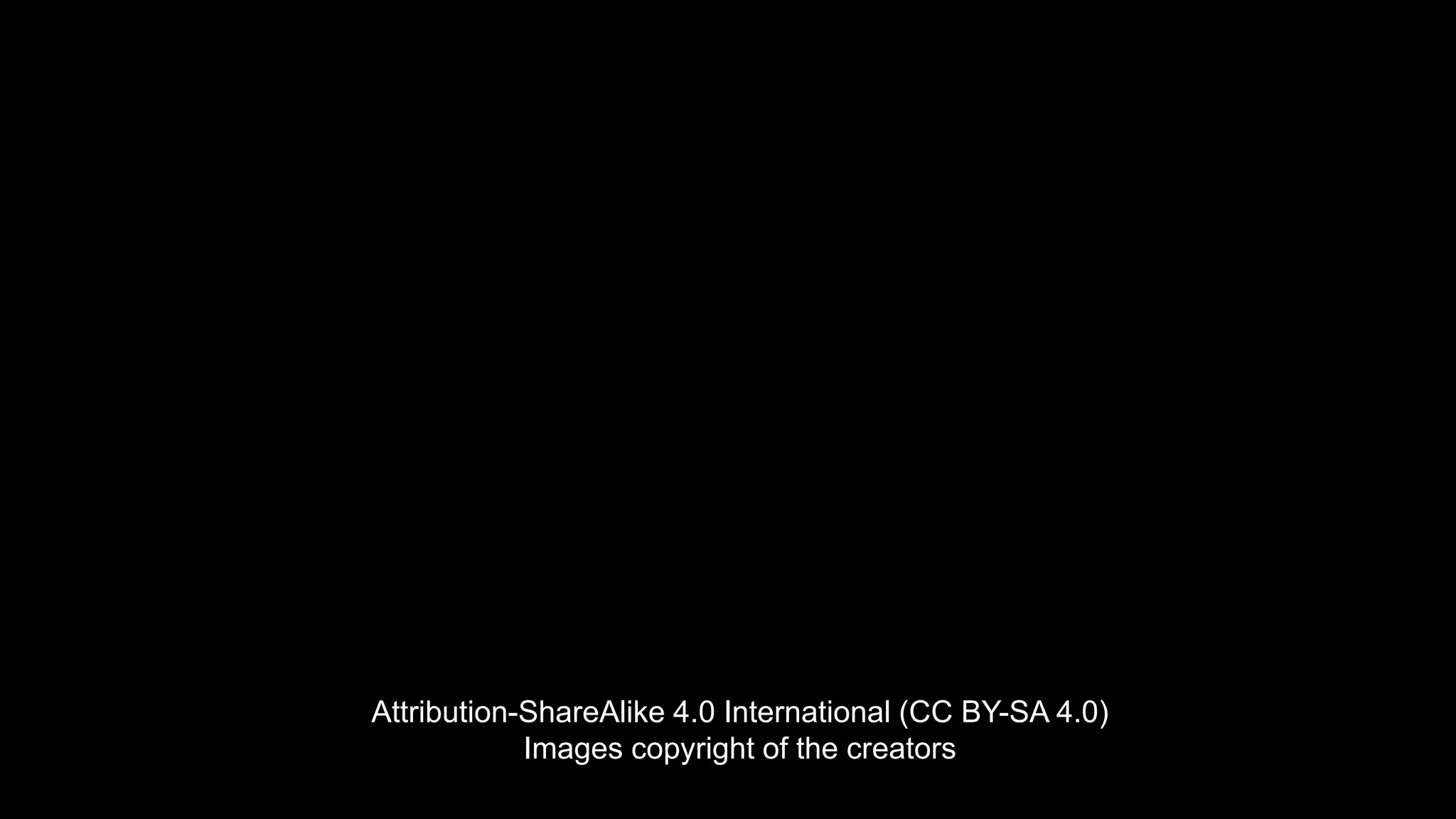 Attribution-ShareAlike 4.0 International (CC BY-SA 4.0)
Images copyright of the creators
 