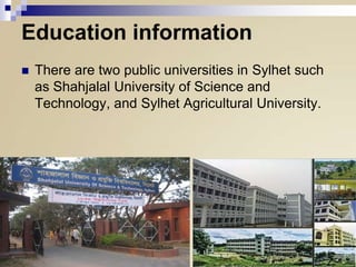 Education information


There are two public universities in Sylhet such
as Shahjalal University of Science and
Technology, and Sylhet Agricultural University.

 