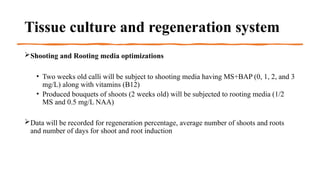 Rfor Presentation synopsis rfor the new students | PPTX