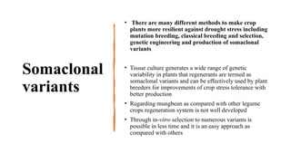 Rfor Presentation synopsis rfor the new students | PPTX