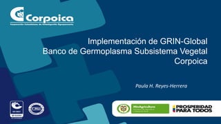 Implementación de GRIN-Global
Banco de Germoplasma Subsistema Vegetal
Corpoica
Paula H. Reyes-Herrera
 