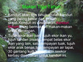 Makan Tiga Tahun
• Kenduri akan tiga tahun adalah kenduri
yang paling besar dan meriah
sekali.Kenduri ini dinamakan Kenduri
Minum yang bermaksud makan-makan
untuk kenangan.
• Tujuh ekor ikan pari, tujuh ekor ikan yu,
tujuh tandan pisang, empat belas ekor
ikan yang lain, satu tempayan tuak, tujuh
ekor arak benas,tiga tempayan air tapai,
30 gantang kuih kelupis dan seekor
kerbau disediakan untuk kenduri ini.
 