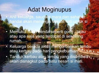 • Ahli keluarga, saudara mara dan sahabat
handai akan menangis sekuat hati untuk si
mati.
• Memukul harta benda seperti gong , tajau
atau apa saja yang terdapat di sekeliling
rumah.
• Keluarga berada akan mengorbankan lembu
atau kerbau pada hari pengkebumian
• Tanduk kerbau atau lembu yang disembelih
akan disnagkut pada batu nesan si mati.
Adat Moginupus
 