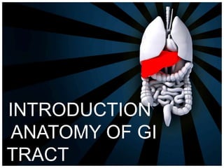 INTRODUCTION
ANATOMY OF GI
TRACT
 