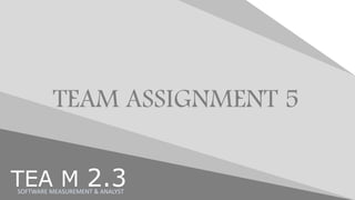 TEA M 2.3
TEAM ASSIGNMENT 5
SOFTWARE MEASUREMENT & ANALYST
 