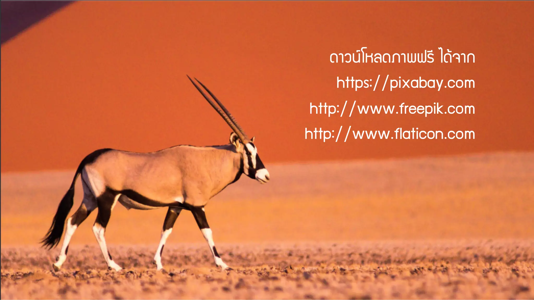 EXERCISE
format your
layout
 