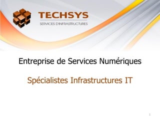 Entreprise de Services Numériques
Spécialistes Infrastructures IT
1
 