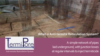 Question to ask before you buy/install Preventive Anti-termite ...