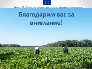 Благодарим вас за
внимание!
Проект ЕС «Совершенствование уголовного правосудия в Казахстане»
 