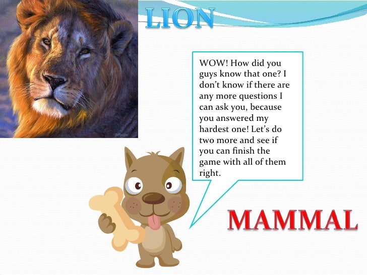 The Animal Kingdom Game