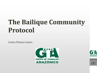 1111
The Bailique Community
Protocol
Carlos Potiara Castro
 