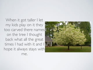 When it got taller I let
my kids play on it they
too carved there names
on the tree I thought
back what all the great
times I had with it and I
hope it always stays with
me.
 