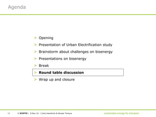 Presentation the future of bioenergy in urban energy systems