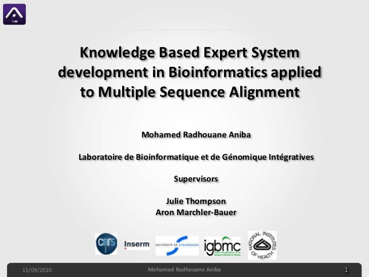 expert systems essay expert systems essay