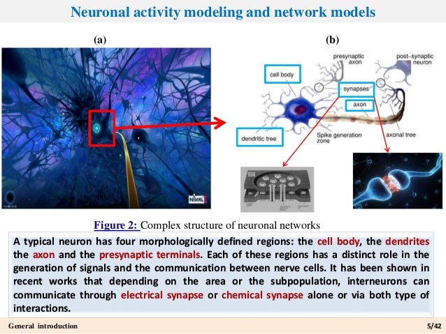 Single neuron dynamics models linking theory and experiment Single neuron dynamics