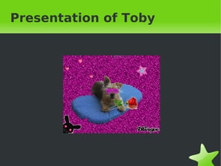 Presentation of Toby 