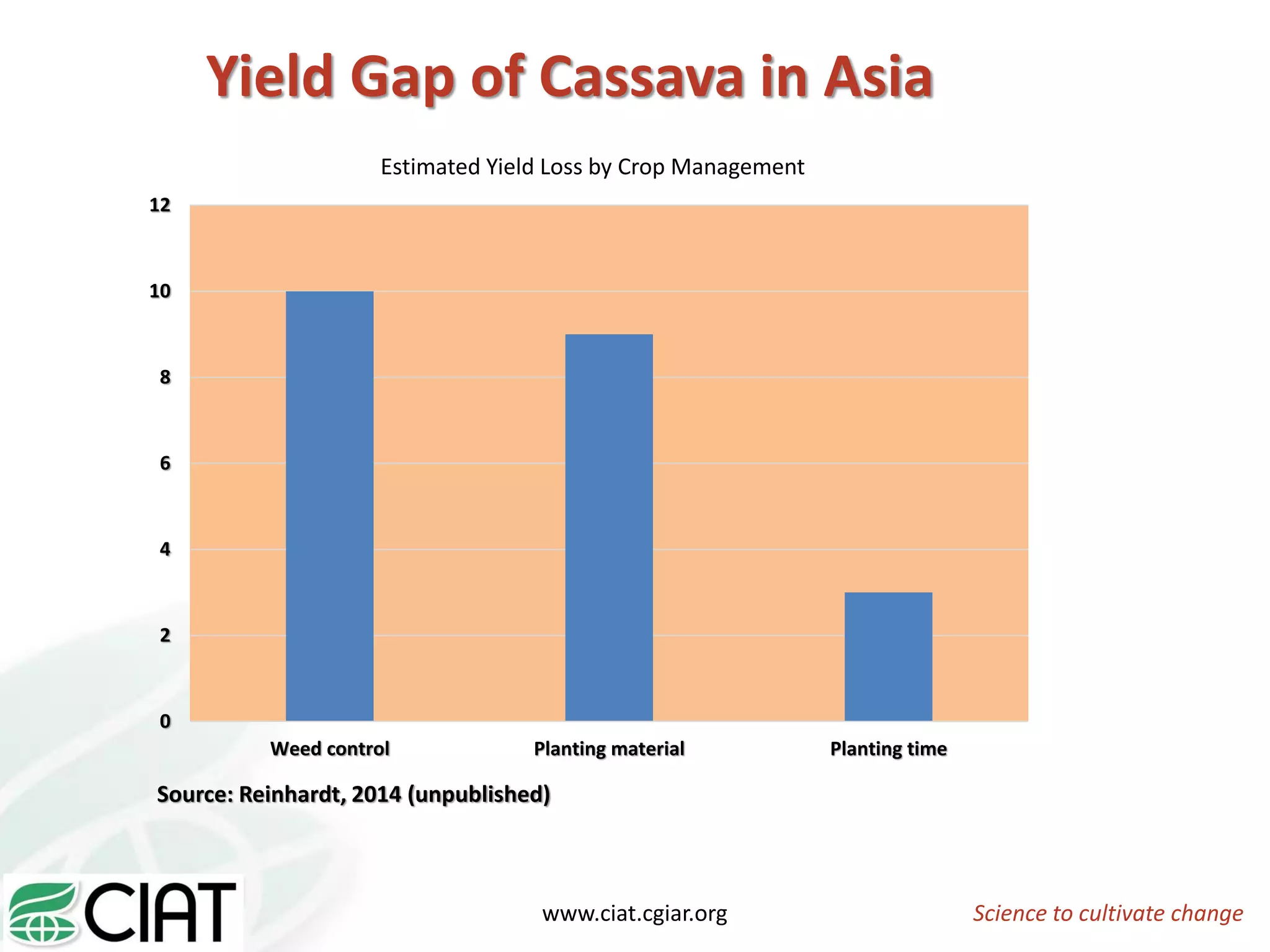 Science to cultivate changewww.ciat.cgiar.org
Yield Gap of Cassava in Asia
Source: Reinhardt, 2014 (unpublished)
0
2
4
6
8
10
12
Weed control Planting material Planting time
Estimated Yield Loss by Crop Management
 