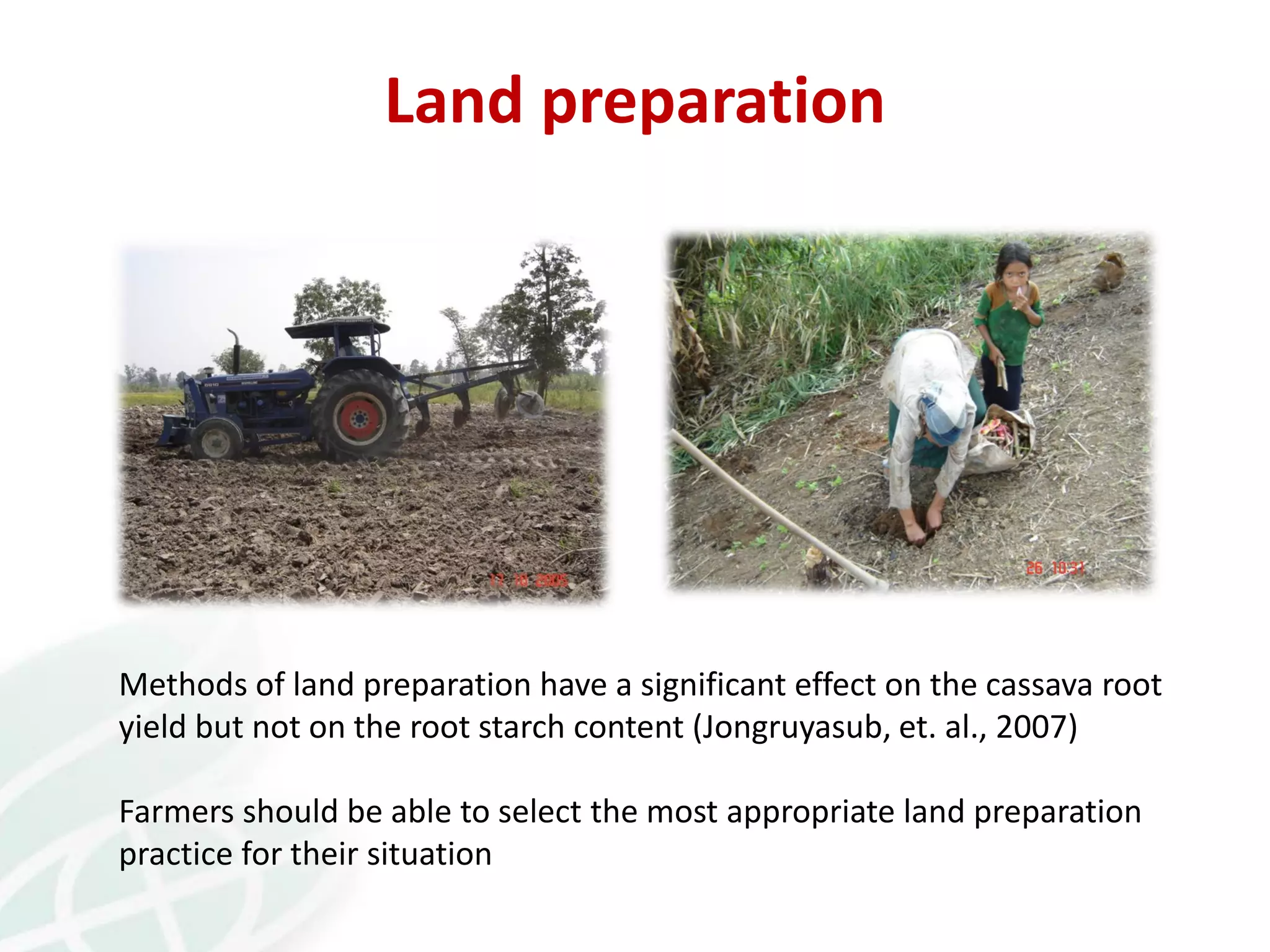 Land preparation
Methods of land preparation have a significant effect on the cassava root
yield but not on the root starch content (Jongruyasub, et. al., 2007)
Farmers should be able to select the most appropriate land preparation
practice for their situation
 