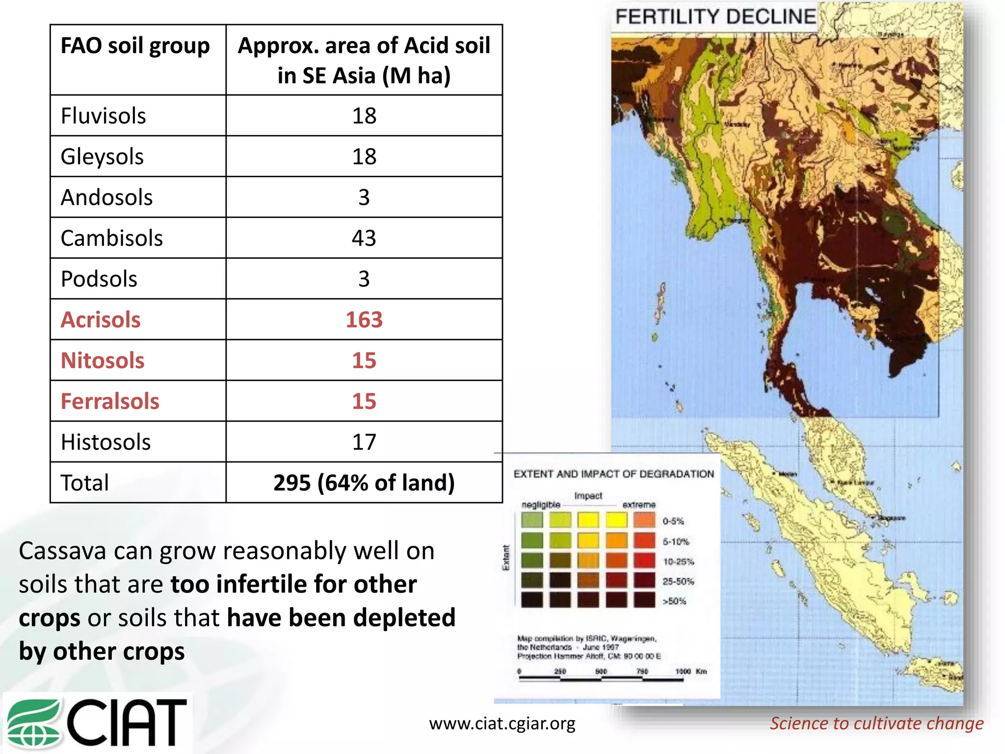 Science to cultivate changewww.ciat.cgiar.org
FAO soil group Approx. area of Acid soil
in SE Asia (M ha)
Fluvisols 18
Gleysols 18
Andosols 3
Cambisols 43
Podsols 3
Acrisols 163
Nitosols 15
Ferralsols 15
Histosols 17
Total 295 (64% of land)
Cassava can grow reasonably well on
soils that are too infertile for other
crops or soils that have been depleted
by other crops
 
