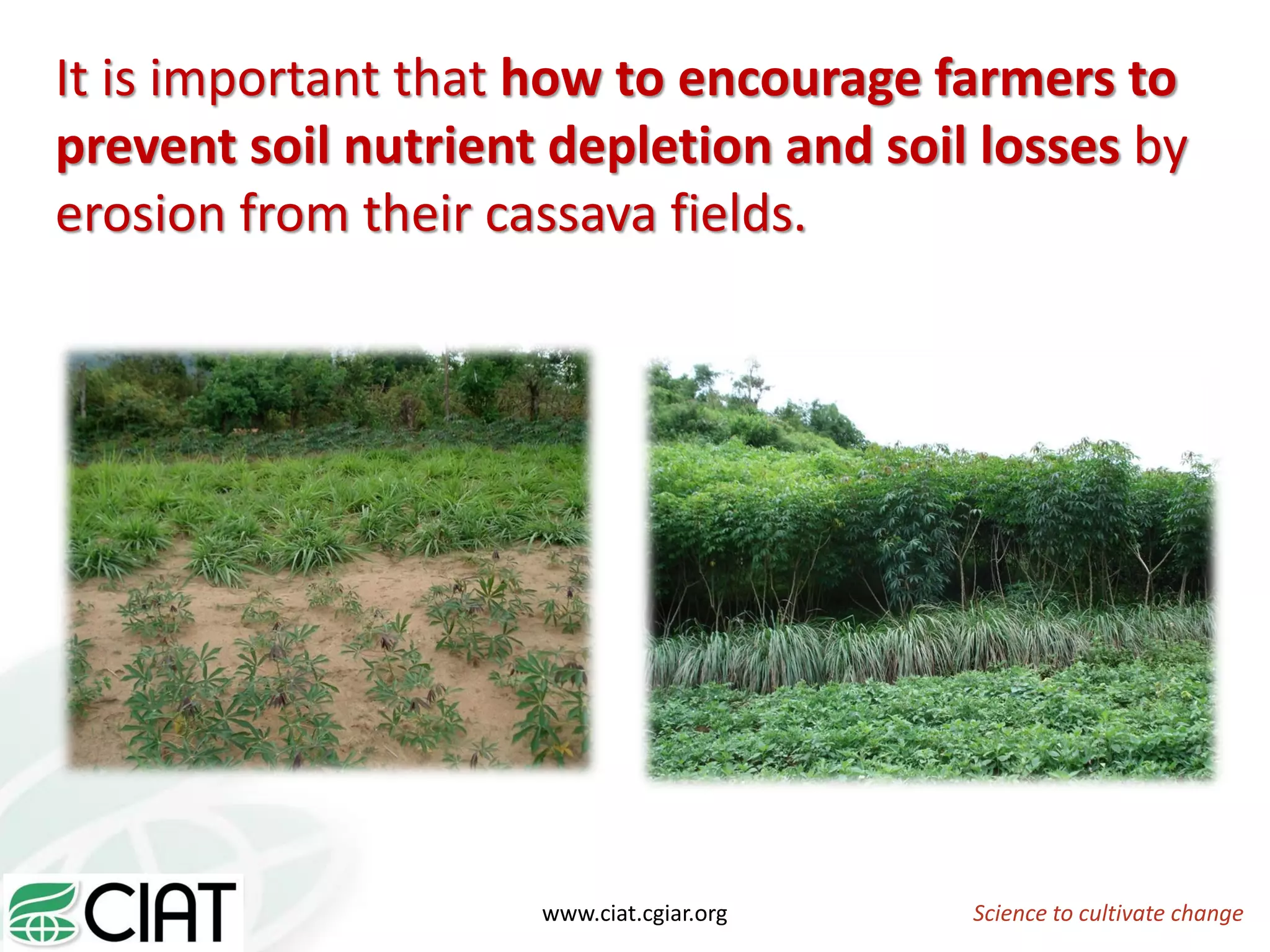 Science to cultivate changewww.ciat.cgiar.org
It is important that how to encourage farmers to
prevent soil nutrient depletion and soil losses by
erosion from their cassava fields.
 