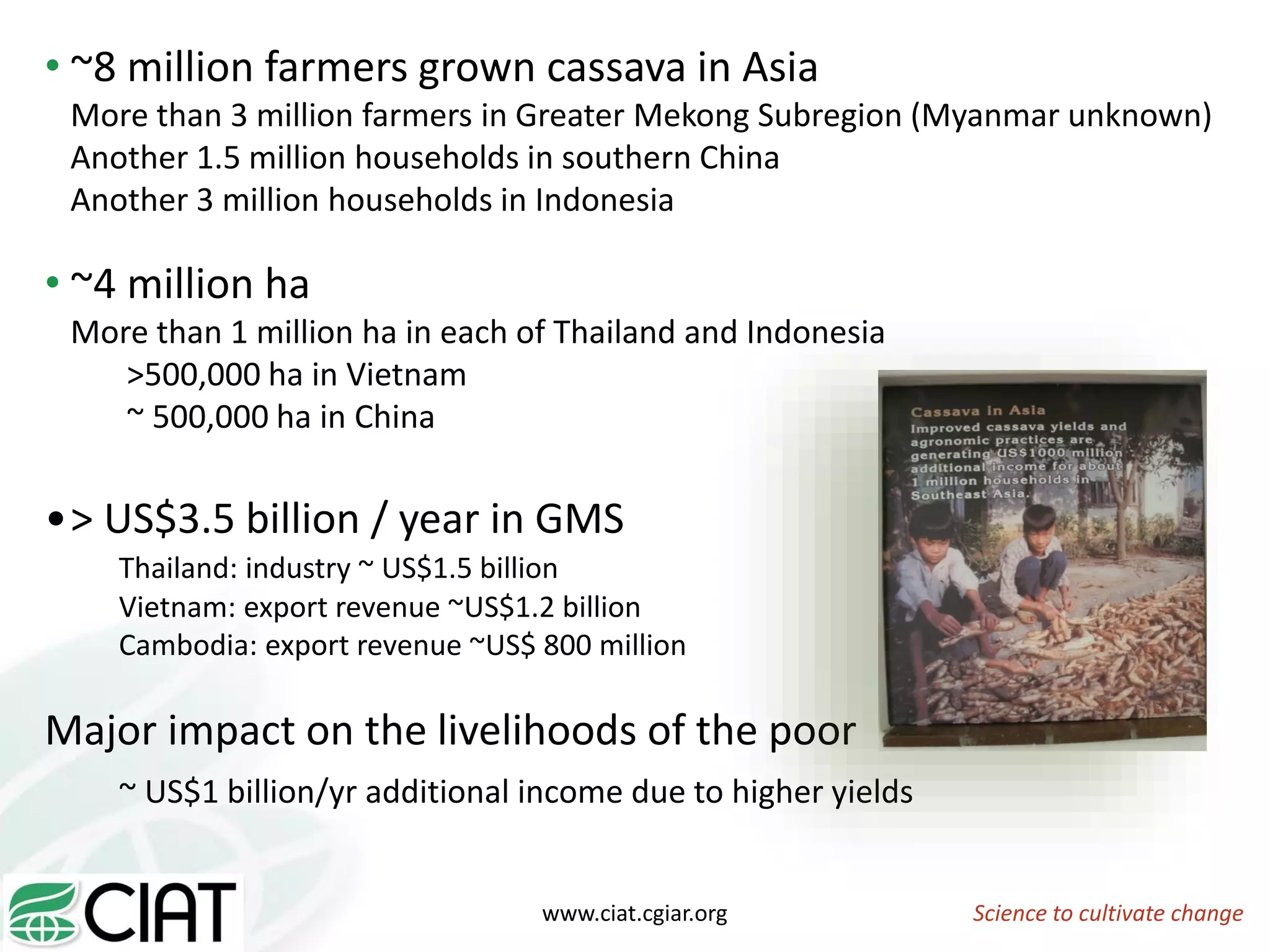 • ~8 million farmers grown cassava in Asia
More than 3 million farmers in Greater Mekong Subregion (Myanmar unknown)
Another 1.5 million households in southern China
Another 3 million households in Indonesia
• ~4 million ha
More than 1 million ha in each of Thailand and Indonesia
>500,000 ha in Vietnam
~ 500,000 ha in China
•> US$3.5 billion / year in GMS
Thailand: industry ~ US$1.5 billion
Vietnam: export revenue ~US$1.2 billion
Cambodia: export revenue ~US$ 800 million
Major impact on the livelihoods of the poor
~ US$1 billion/yr additional income due to higher yields
Science to cultivate changewww.ciat.cgiar.org
 